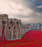 Tower of London Red Poppies England UK 18"x12" Print - Image 1