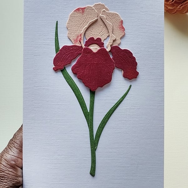 Peach-Burgundy Paper Iris - Flower Shop Moments, Blank Handmade Floral Card 