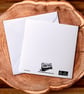 Funny Cat Blank Greetings card - Image 2