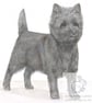 Maddie the Cairn Terrier - Blank Card - Image 1