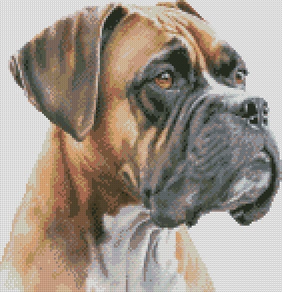 Complete Counted Cross Stitch Kit Boxer Dog 1 Small TDCC DBOX01