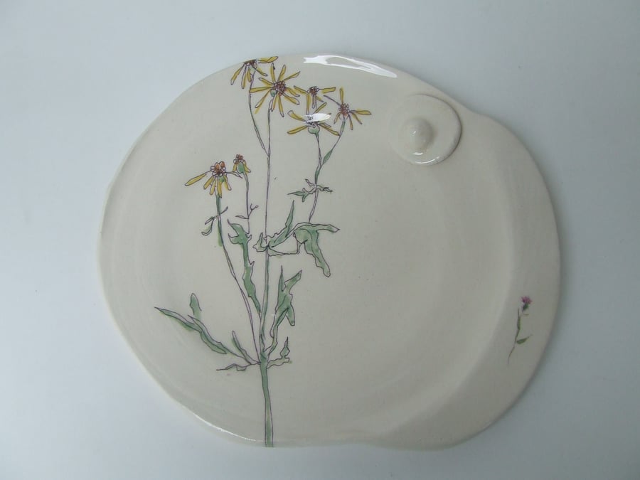 The Medium Plate - Found in the Forest