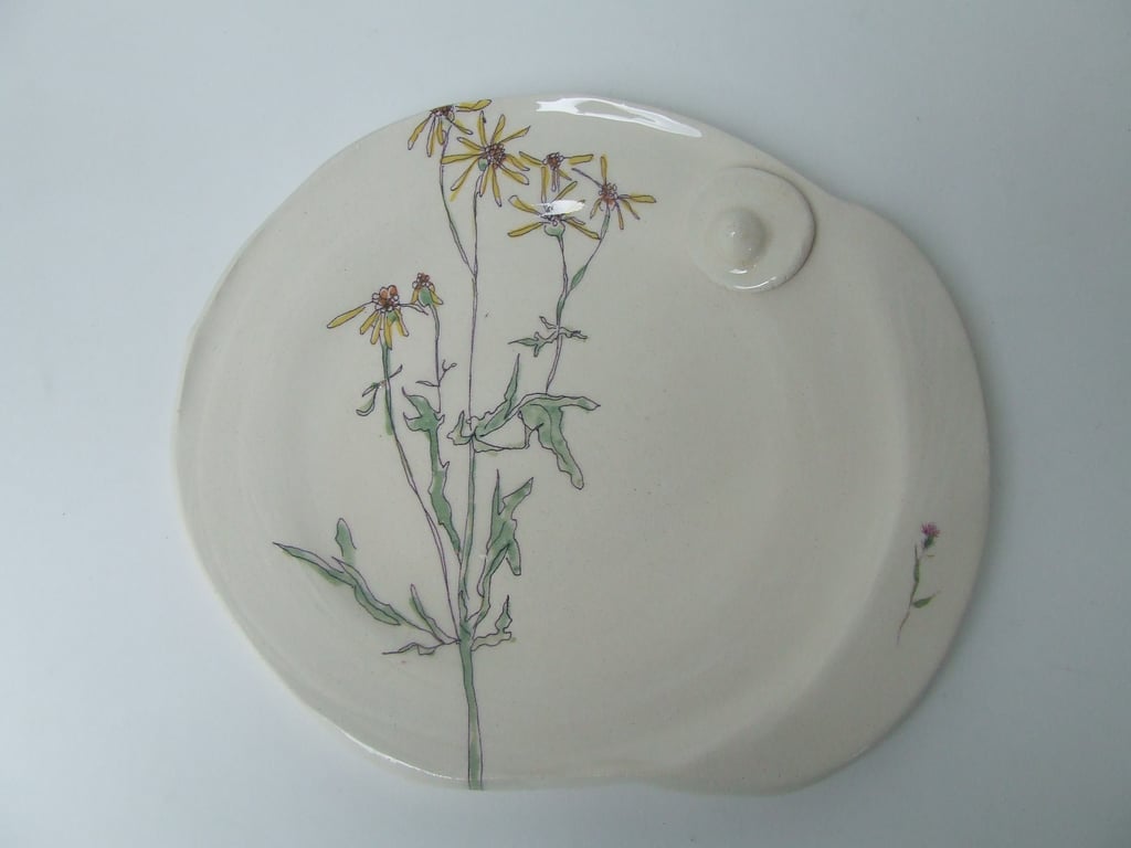 The Medium Plate - Found in the Forest