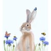 Art Print Rabbit