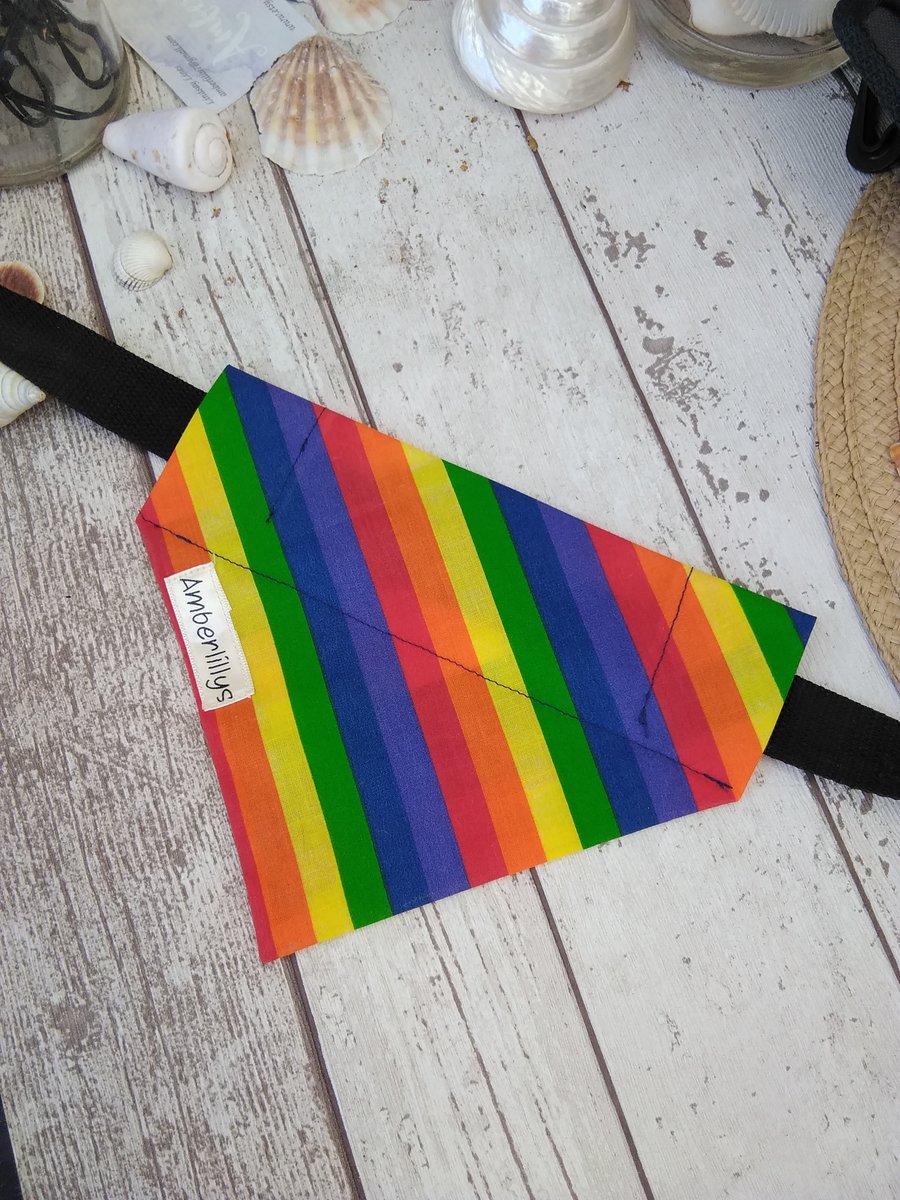 Bandana Small Rainbow Over the Collar