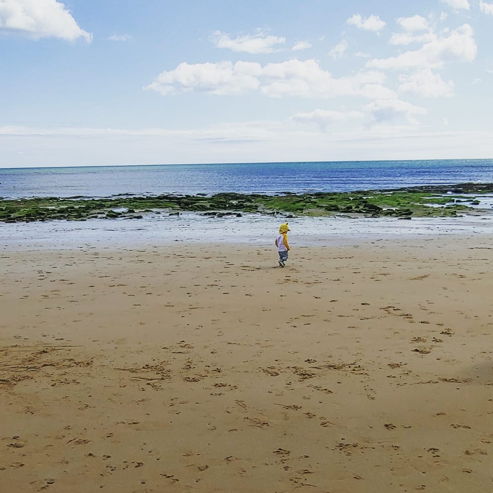 Sewing by the Sea