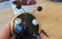 Bees