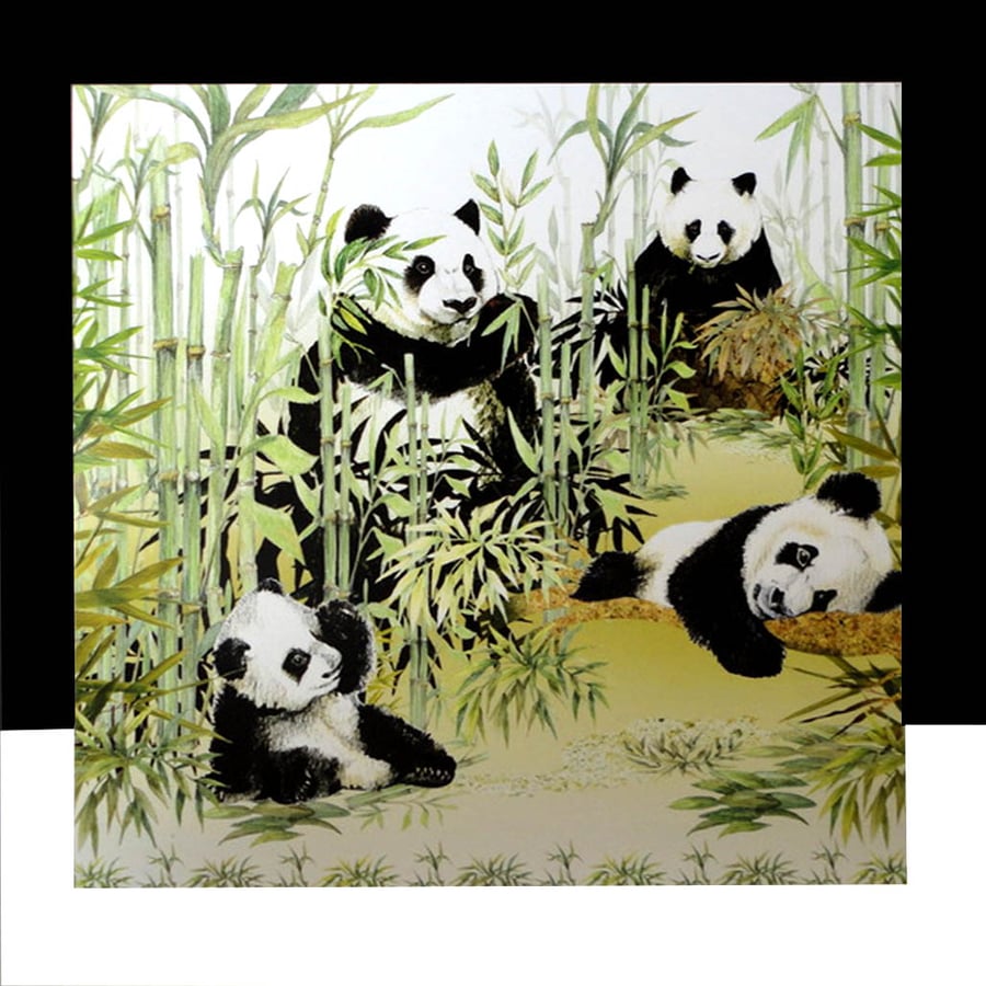 Bamboo Family of Pandas