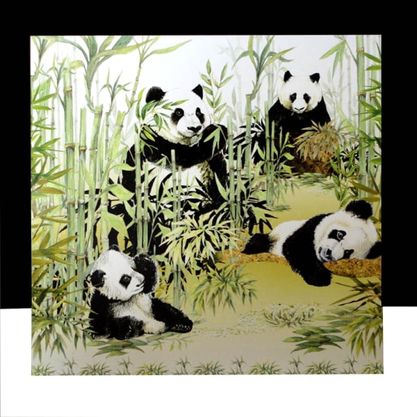 Bamboo of Pandas