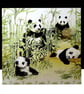Bamboo Family of Pandas Card - Image 1
