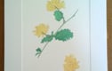 Easter cards and gifts