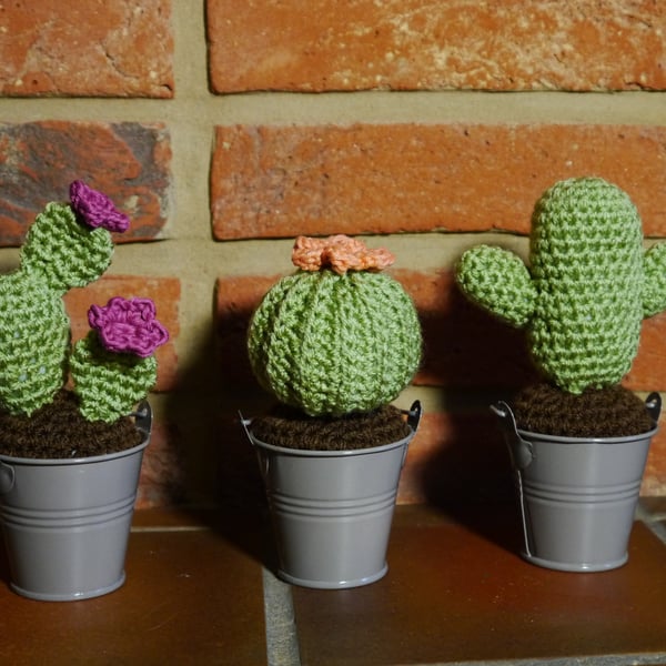 Set of three crochet cacti 