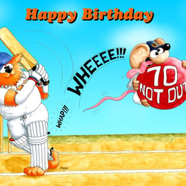 Cricket 70th birthday card FREE UK P&P