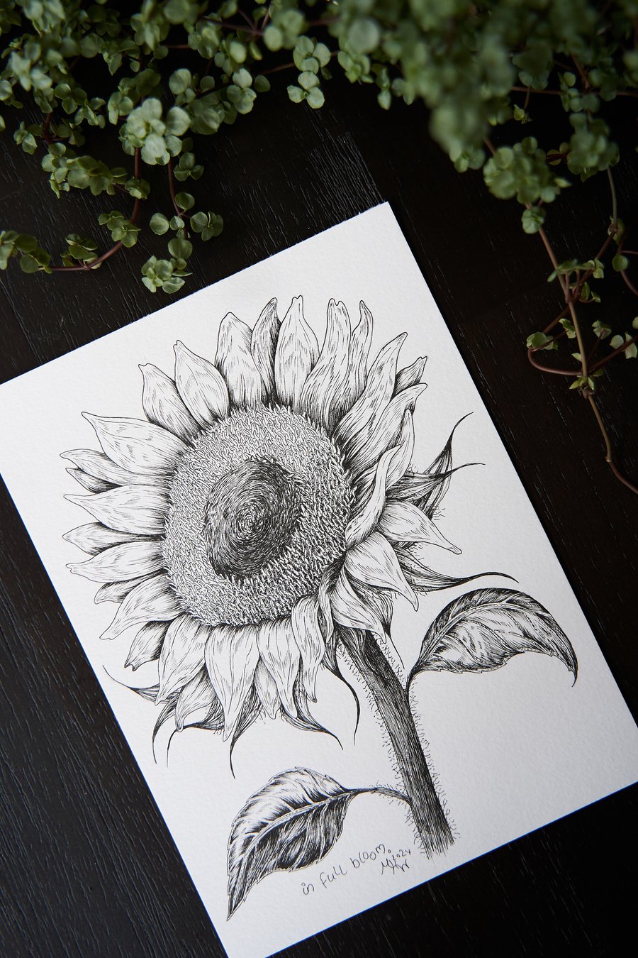 Title: "in full bloom" botanical drawing, hand-drawn original size A5-5.8x8.3 in