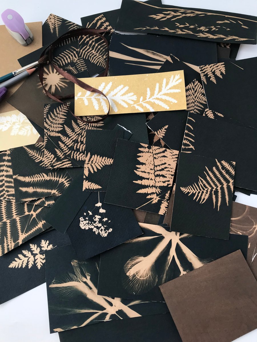 A Beautiful Bundle of Browns and Blacks- Cyanotype Photogram off cuts. 