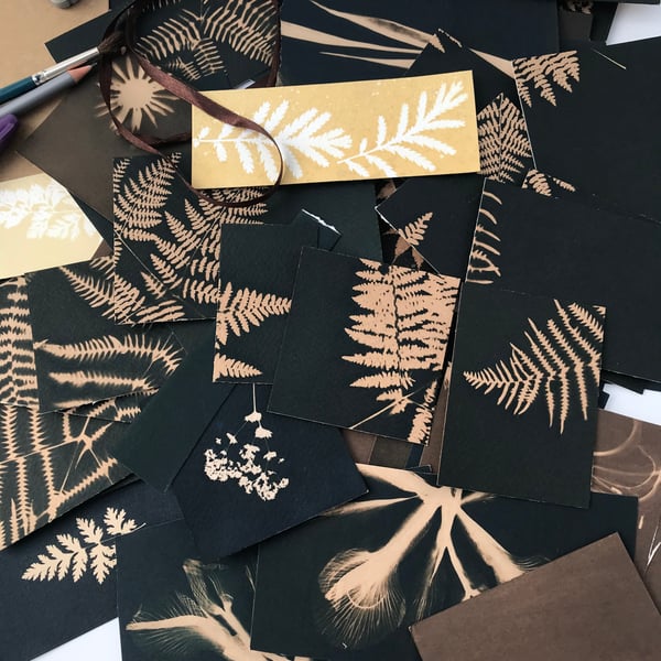 A Beautiful Bundle of Browns and Blacks- Cyanotype Photogram off cuts. 