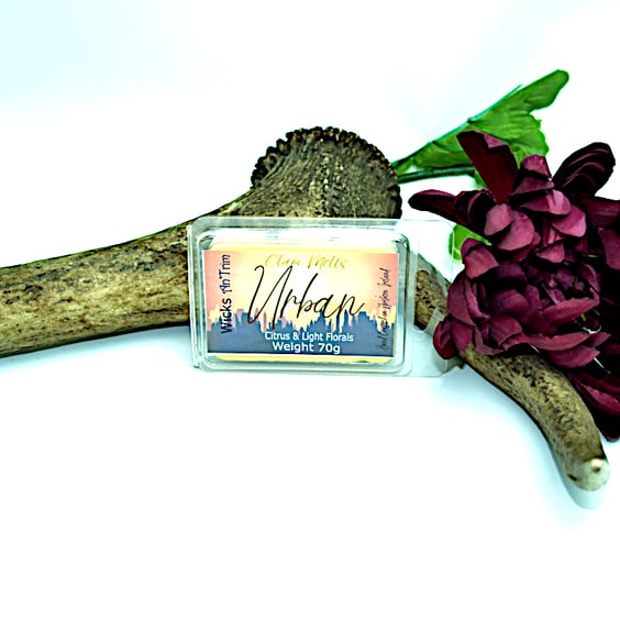  Urban Hand Poured Soy Wax Melt Clam Melt