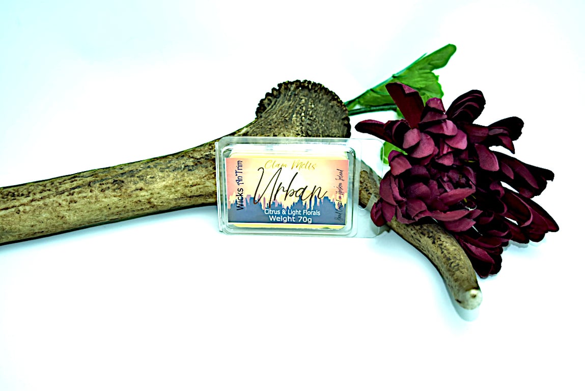  Urban Hand Poured Soy Wax Melt Clam Melt