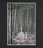 CJ100 - Winter woodland cathedral - Image 2
