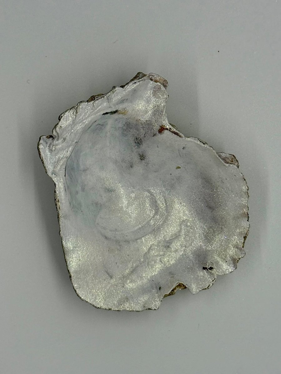 Oyster shell ring holder - silver and pearl