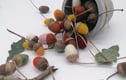 Seasonal collection