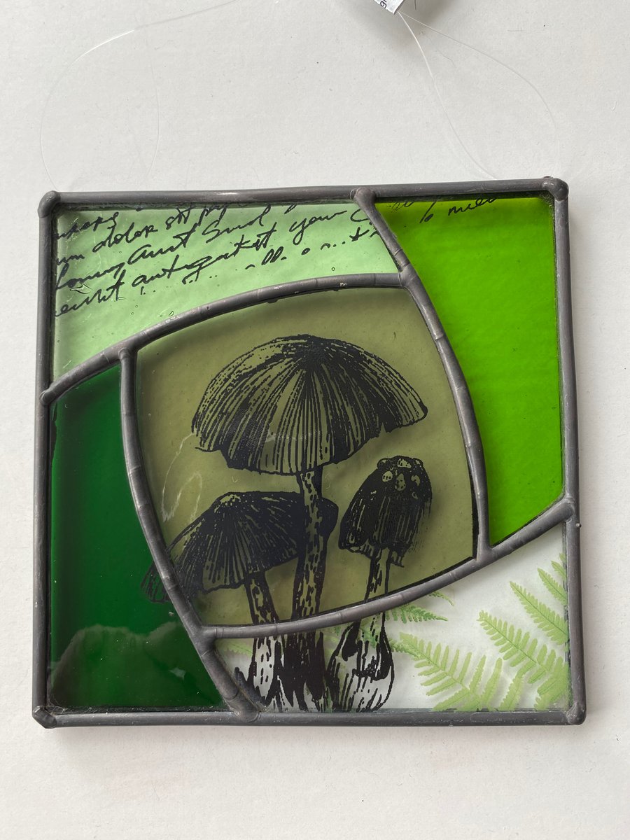 Stained Glass Screen Printed Fungi Panel
