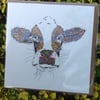 Marigold the cow