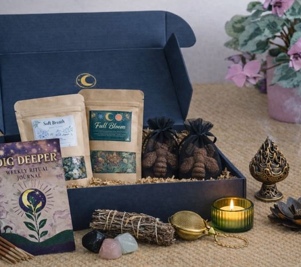 Green Witch Everything Kit (Seeds, Altar accessories, Tools, Dried Herbs)