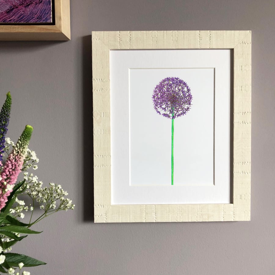 'Allium' 10" x 8" Framed Print