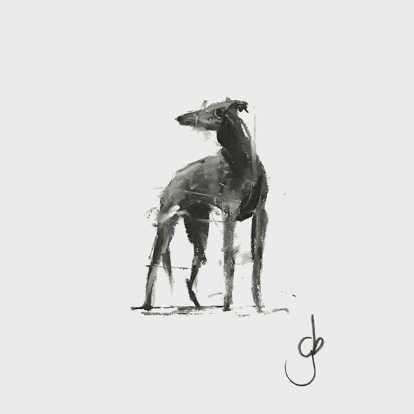 Greyhound standing A5 Art print