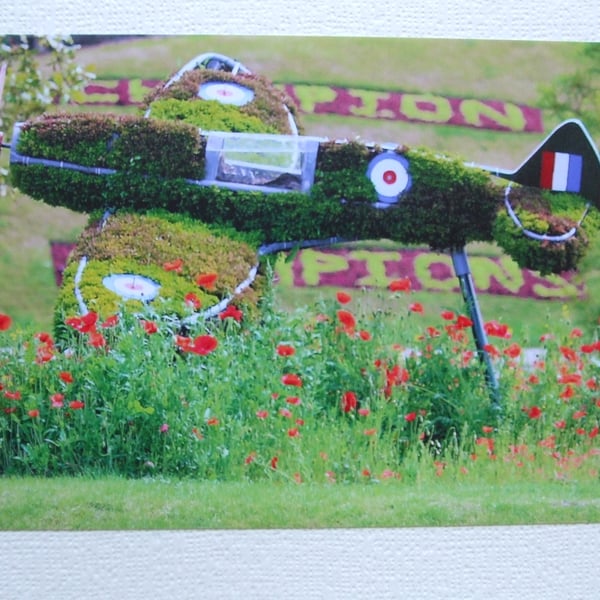 Photographic greetings card of a Spitfire in topiary over poppies, side view.