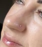 Ball nose Stud