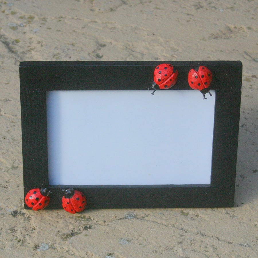 1 ladybird standing picture frame