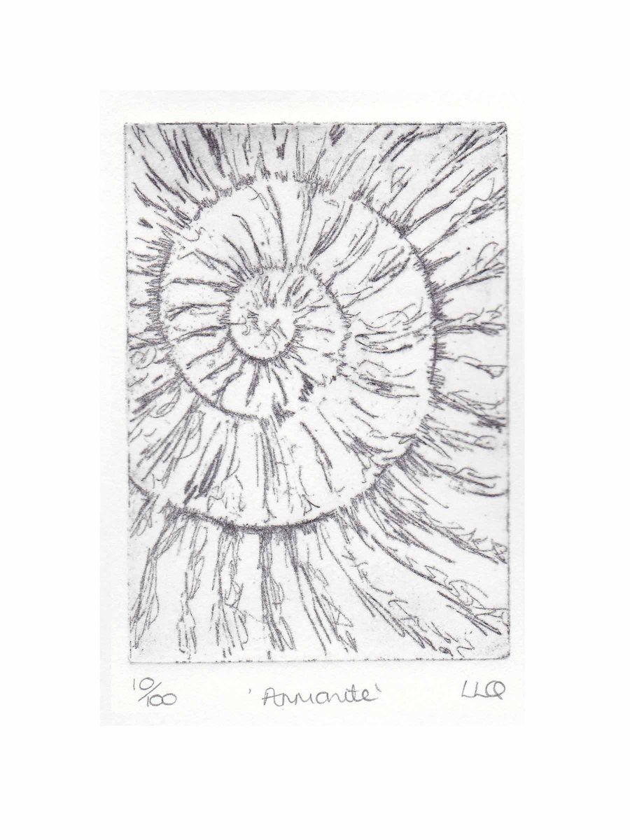 Etching no.10 of an ammonite fossil in an edition of 100