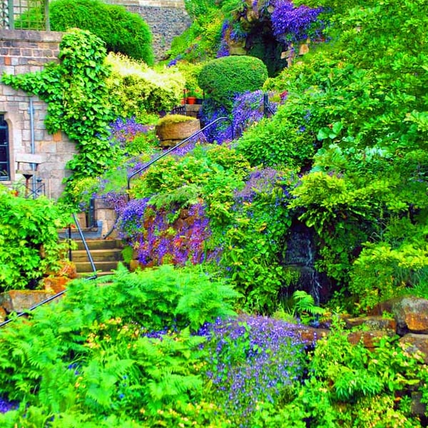 Windsor Castle Berkshire England UK Photograph Print