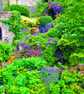 Windsor Castle Berkshire England UK Photograph Print