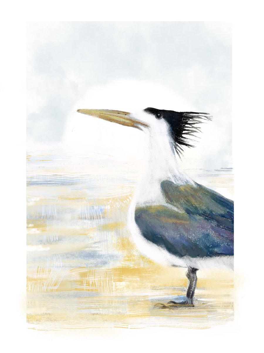 Seabird Art Print -Coastal Art