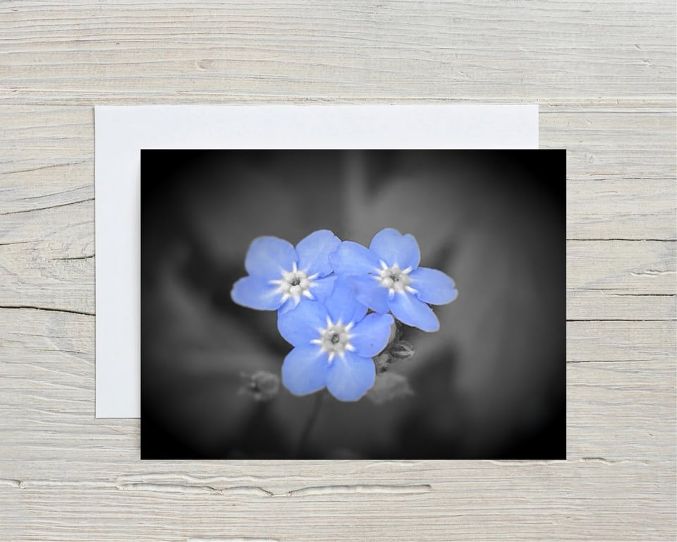 A5 Blank Greeting Card of Forget Me Not Flowers with envelope