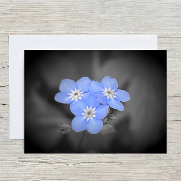 A5 Blank Greeting Card of Forget Me Not Flowers with envelope