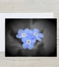 A5 Blank Greeting Card of Forget Me Not Flowers with envelope