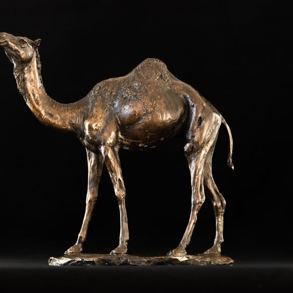 Foundry Bronze Camel Animal Statue Bronze metal Sculpture 