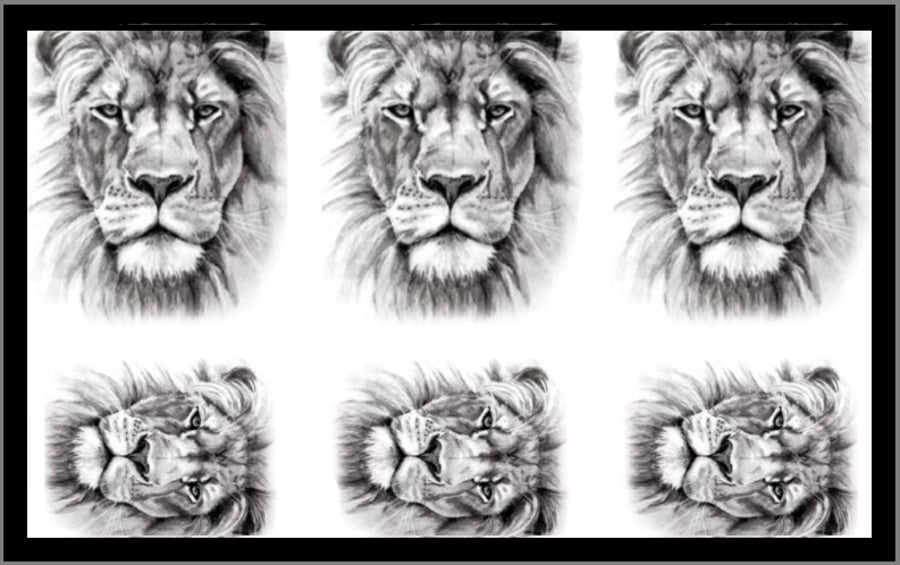 Temporary Lion Tattoo