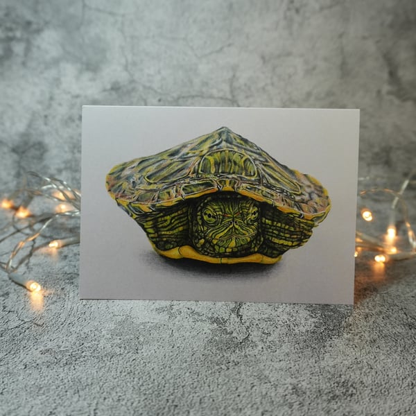 Raphael Turtle Blank Greetings Card Printed from Original Art
