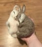 Felted Rabbit - Needle Felted Rabbit - Needle Felted Bunny  - Image 9