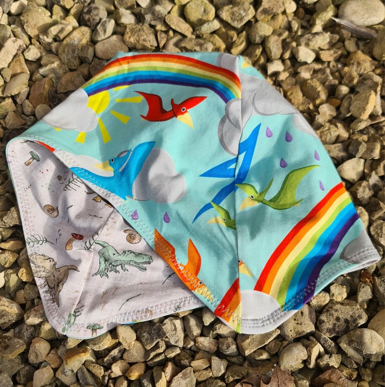 Reversable Bike Helmet Hat Adult L - Pterydactyls & Dinosaurs 