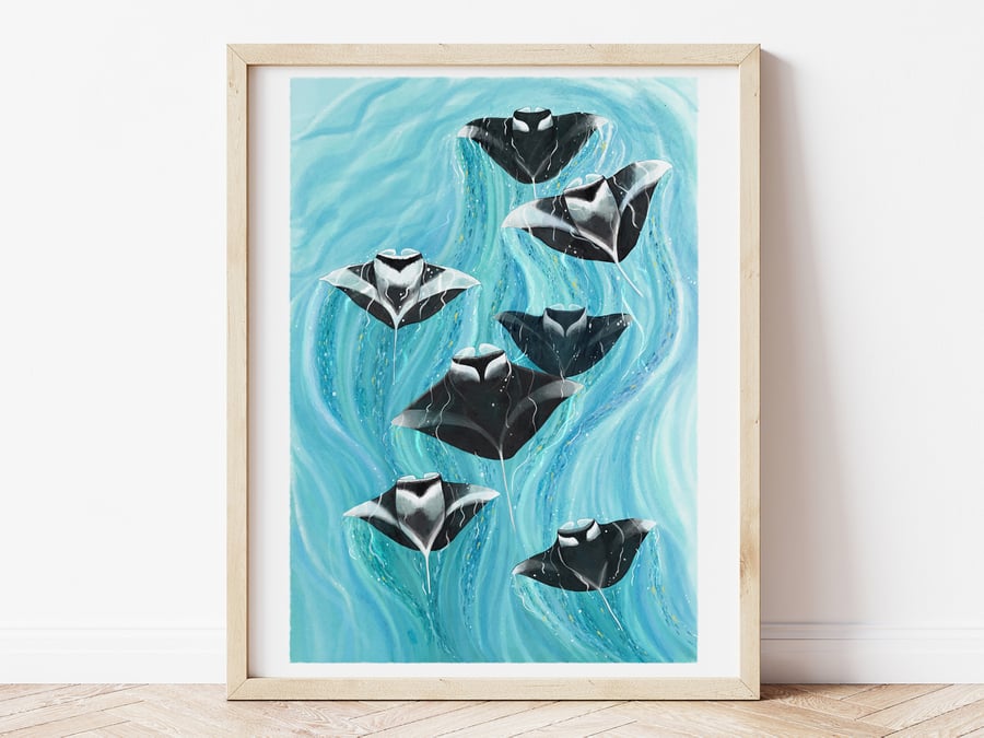 Manta Rays - Illustrated Art Print