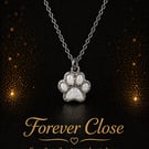 In loving memory paw pendant laid  with ashes 