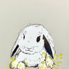 Little Bunny A6 Greetings Card