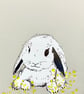 Little Bunny A6 Greetings Card
