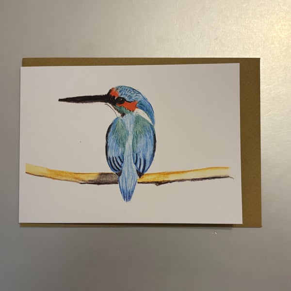Kingfisher A5 Greeting Card